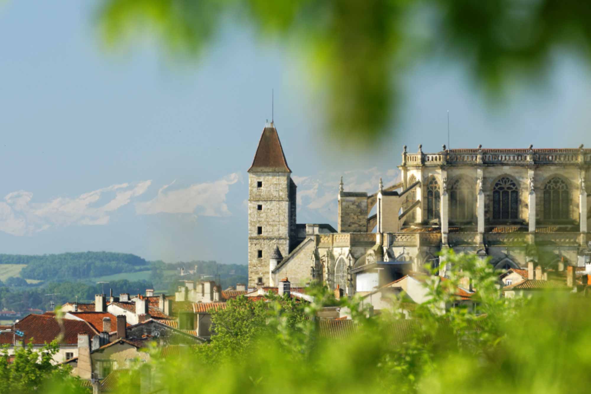 Cathédrale d'Auch et Pyrénées