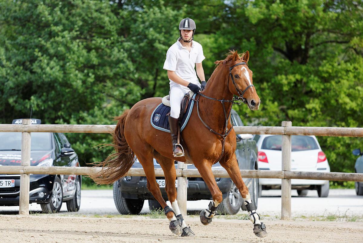 Concours hippique