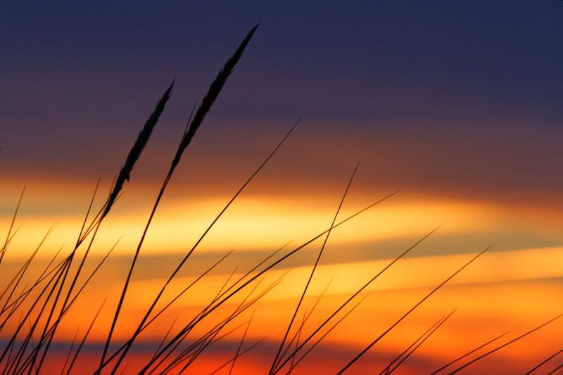 Coucher de soleil - Hauteville sur mer