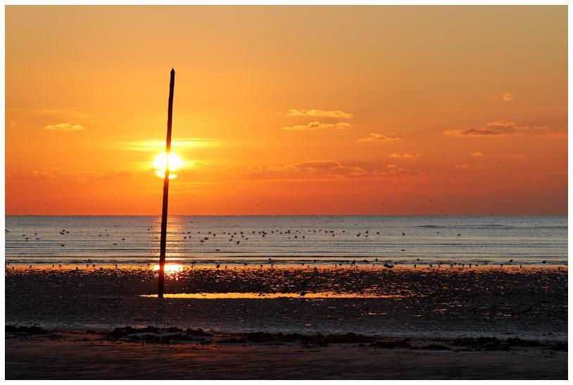 Montmartin sur mer - Coucher de soleil